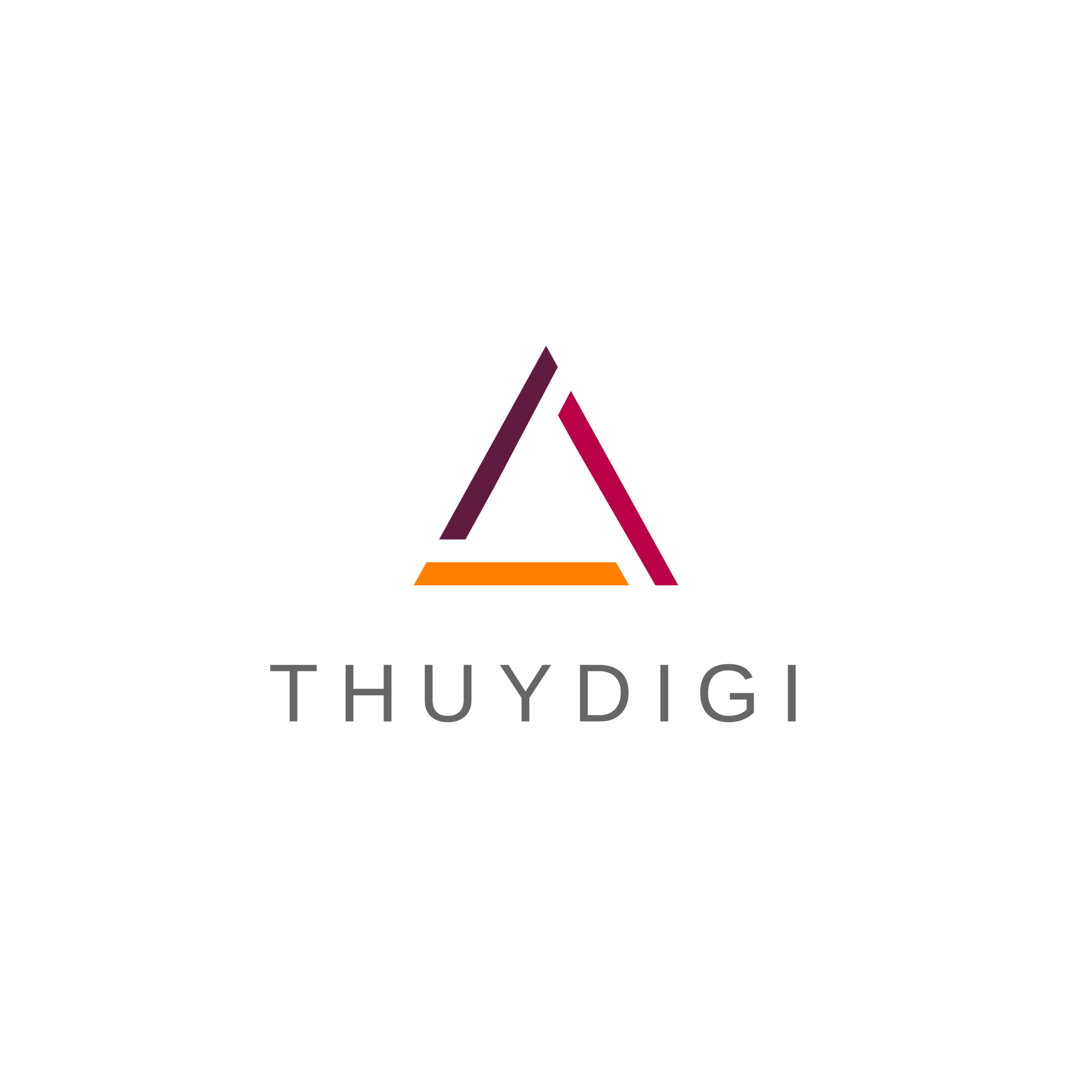 ThuyDigi
